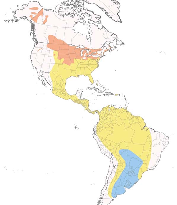 Upland Sandpiper map