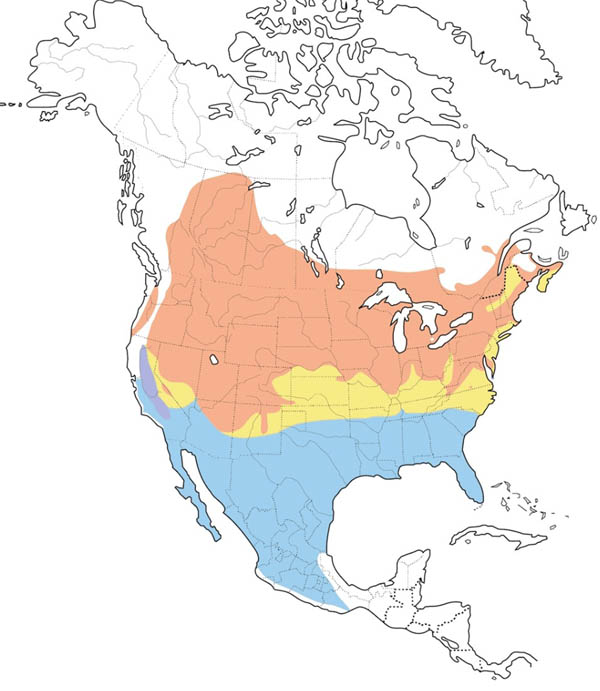 Vesper Sparrow map