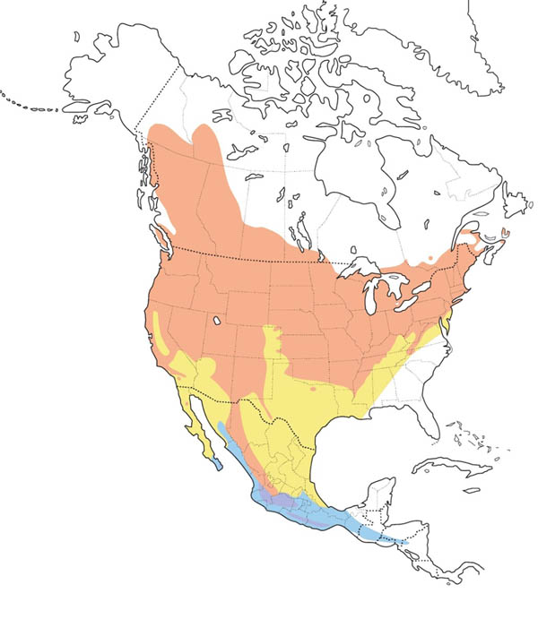 Warbling Vireo map