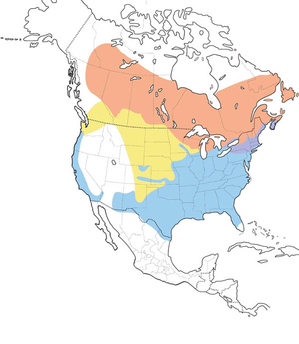 White-throated Sparrow map