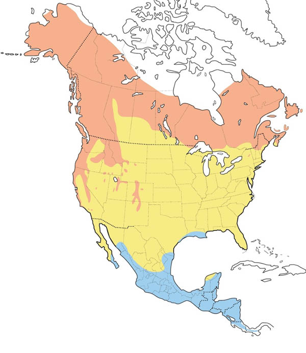 Wilson's Warbler map