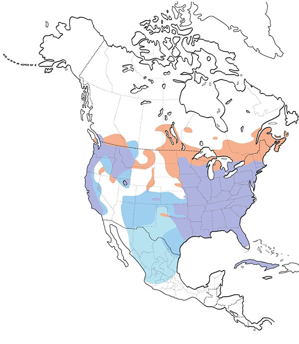 Wood Duck map