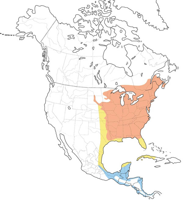 Wood Thrush map