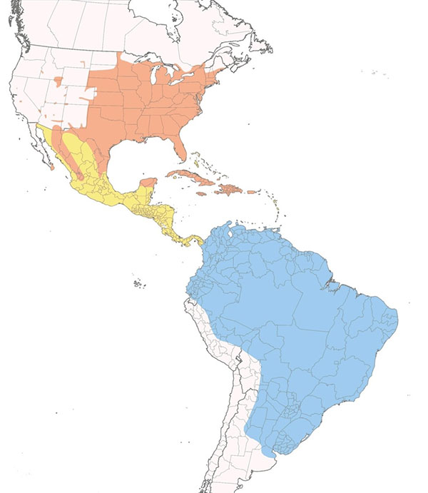 Yellow-billed Cuckoo map