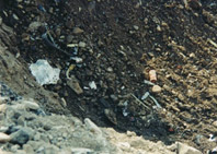 The FDR as first seen in the crater excavation on September 13.  