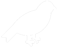 bird icon